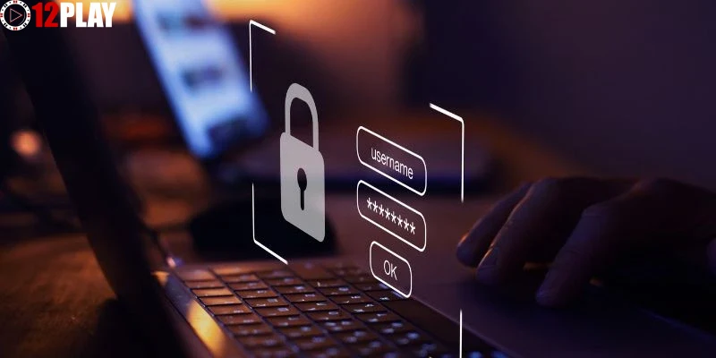 Những loại thông tin cá nhân được thu thập và lý do thực hiện